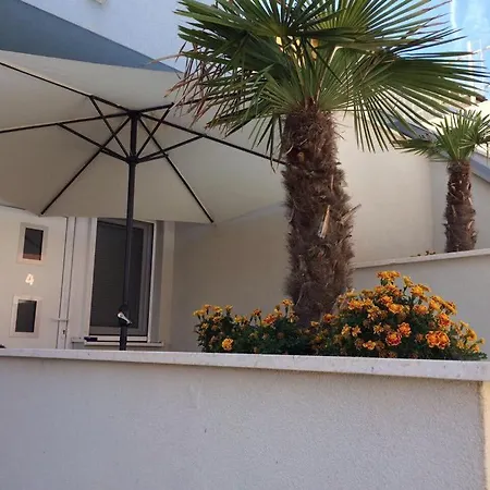 Mane トロギール