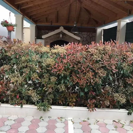 Mane Apartman Trogir