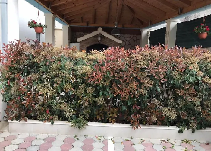 Mane Appartamento Traù